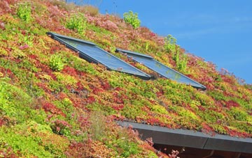 Winsley living roof systems