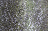 Winsley fibreglass roof work